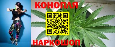 гашик Краснодар