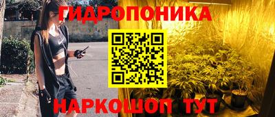гашик Краснодар