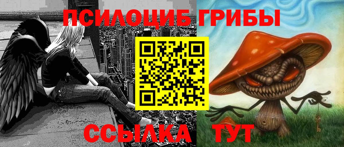 Галлюциногенные грибы Cubensis  Вход с VPN  Камышлов  Галлюциногенные грибы ЛСД 