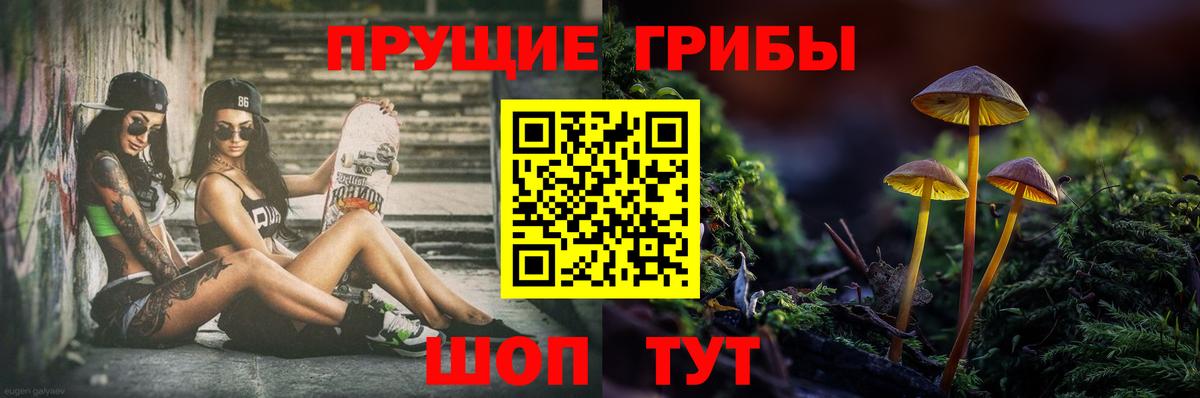 Галлюциногенные грибы MAGIC MUSHROOMS Камышлов